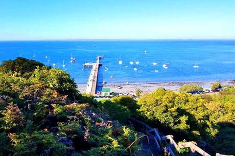 Mornington Peninsula Sightseeing Tour For 2-6 Guests. - Tourism Adelaide 1