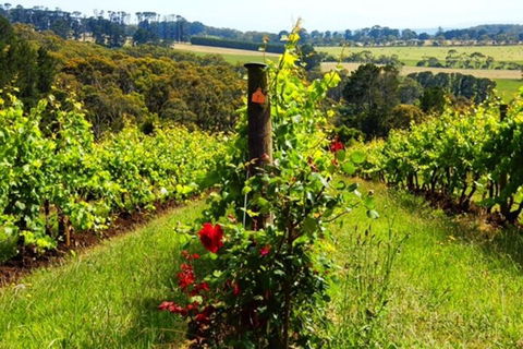 Mornington Peninsula Sightseeing Tour For 2-6 Guests. - Tourism Adelaide 3