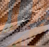 Chillagoe Caves and Outback Day Trip from Cairns - Tourism Adelaide