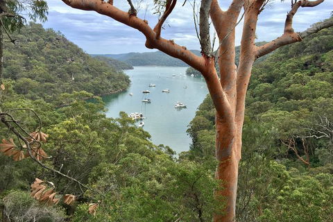 Shore Excursion: Sydney's Northern Beaches & Ku-ring-gai National Park Bus Tour - Tourism Adelaide 1