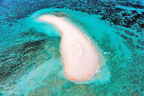 Private Coral Cay Bubbles Tour - Tourism Adelaide 3