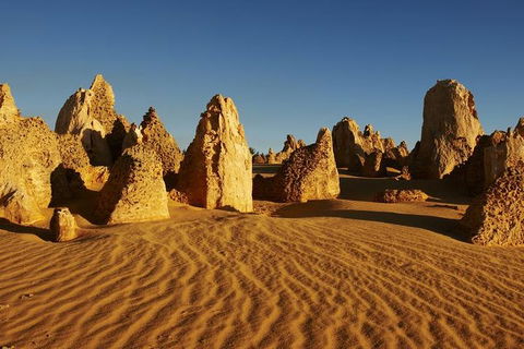 Full Day Pinnacle Desert Explorer From Perth Including Hillarys And Lancelin Sandboarding - Tourism Adelaide 3