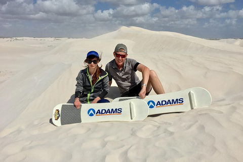 Full Day Pinnacle Desert Explorer From Perth Including Hillarys And Lancelin Sandboarding - Tourism Adelaide 4