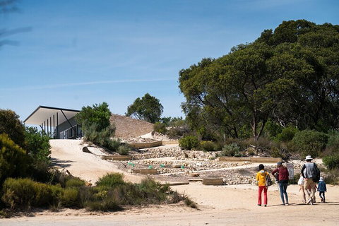 2-Hour Koala Walking Tour In Kangaroo Island - Tourism Adelaide 3