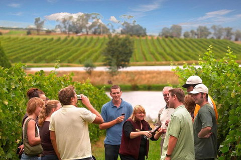 Yarra Valley Wine And Winery Tour From Melbourne - Tourism Adelaide 0