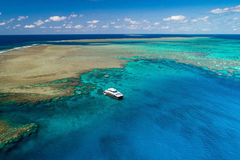 Calypso Outer Great Barrier Reef Cruise From Port Douglas - Tourism Adelaide 1