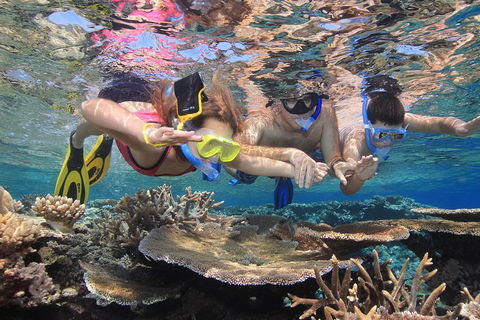 Calypso Outer Great Barrier Reef Cruise From Port Douglas - Tourism Adelaide 3