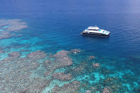 Calypso Outer Great Barrier Reef Cruise From Port Douglas - Tourism Adelaide 4