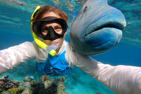 Calypso Outer Great Barrier Reef Cruise From Port Douglas - Tourism Adelaide 5