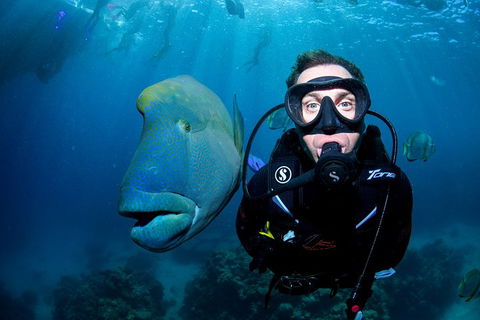 Full Day Reef Cruise Including 10 Minute Heli Scenic Flight: Get High Package - Tourism Adelaide 1