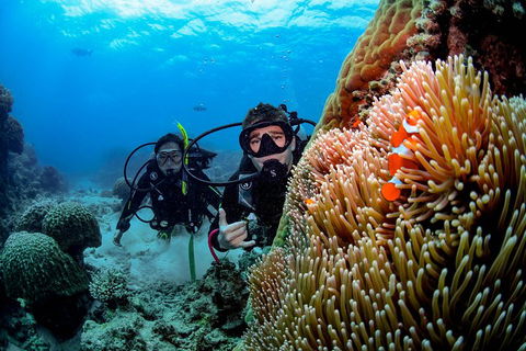 Full Day Reef Cruise Including 10 Minute Heli Scenic Flight: Get High Package - Tourism Adelaide 5