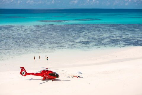 Private Helicopter Tour: Reef Island Snorkeling And Gourmet Picnic Lunch - Tourism Adelaide 2