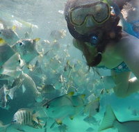 2-Day Moreton Island 4WD Camping Tour from Brisbane - Tourism Adelaide