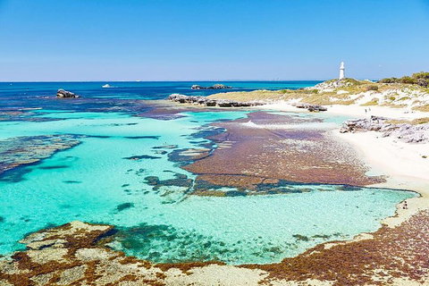 Perth To Rottnest Island Roundtrip Ferry Ticket - Tourism Adelaide 2