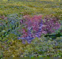 Litchfield Park  Daly River - Scenic Flight From Darwin - Tourism Adelaide
