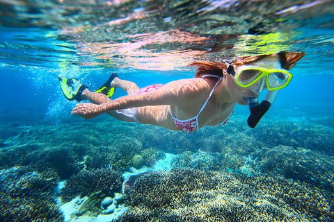 Abrolhos Islands Scenic Flight & Snorkel Adventure From Perth - Tourism Adelaide 1