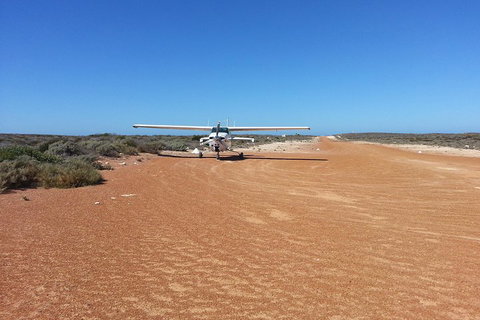 Abrolhos Islands Scenic Flight & Snorkel Adventure From Perth - Tourism Adelaide 3