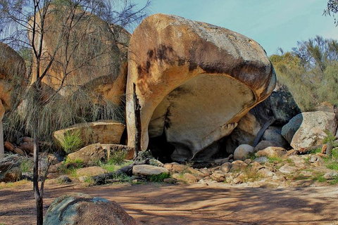Wave Rock Half Day Air & Ground Tour - Tourism Adelaide 1