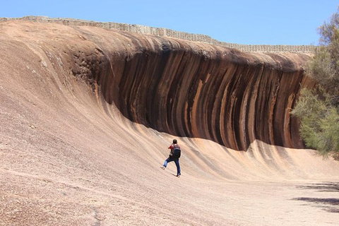 Wave Rock Half Day Air & Ground Tour - Tourism Adelaide 3