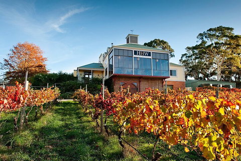 Adelaide Hills Food, Wine, Cheese, & Chocolate - Private Day Tour - Tourism Adelaide 3