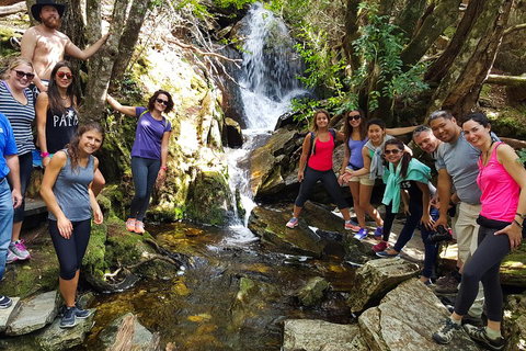 7-Day Super Value Tour Of Tasmania: Explore Tasmania's West And East Coasts - Tourism Adelaide 2