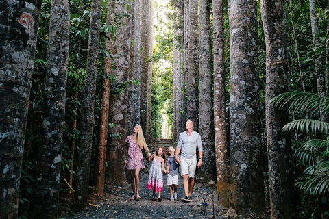 The Original Day Tour To Paronella Park, Lake Barrine And Millaa Millaa Falls - Tourism Adelaide 1