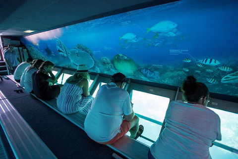 Great Barrier Reef Day Cruise To Reefworld - Tourism Adelaide 0