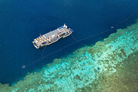 Great Barrier Reef Day Cruise To Reefworld - Tourism Adelaide 2