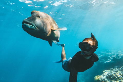 Great Barrier Reef Day Cruise To Reefworld - Tourism Adelaide 3