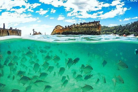 Adventure Moreton Island Day Pass - Tourism Adelaide 4