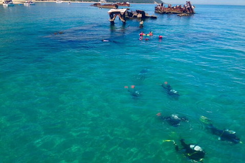 Adventure Moreton Island Scuba Dive Tour - Tourism Adelaide 0