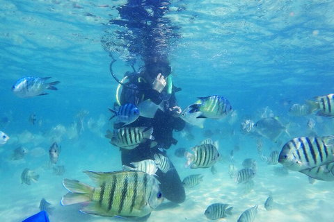 Adventure Moreton Island Scuba Dive Tour - Tourism Adelaide 1