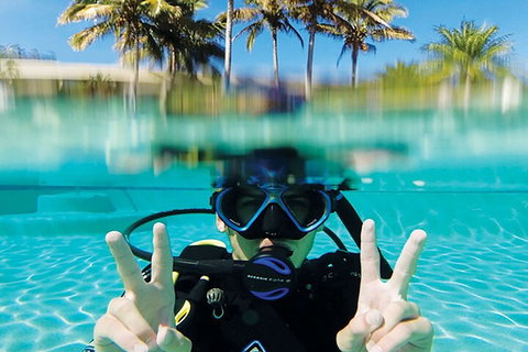 Adventure Moreton Island Scuba Dive Tour - Tourism Adelaide 2
