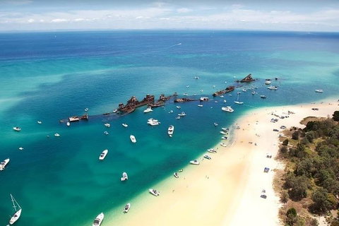 Adventure Moreton Island Scuba Dive Tour - Tourism Adelaide 3
