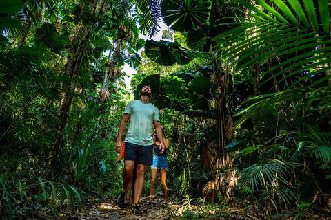 Full Day Daintree Rainforest And Mossman Gorge Tour - Tourism Adelaide 0