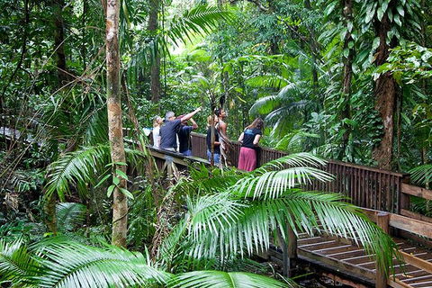 Full Day Daintree Rainforest And Mossman Gorge Tour - Tourism Adelaide 1