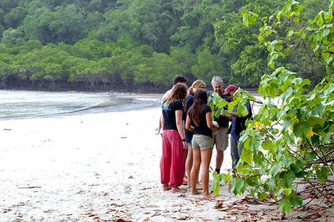 Full Day Daintree Rainforest And Mossman Gorge Tour - Tourism Adelaide 2