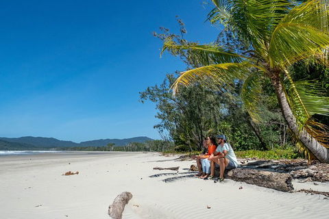 Full Day Daintree Rainforest And Mossman Gorge Tour - Tourism Adelaide 4
