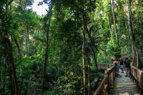 Full Day Daintree Rainforest And Mossman Gorge Tour - Tourism Adelaide 5