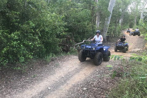 Cairns ATV Adventure Tour And Morning Train - Tourism Adelaide 0
