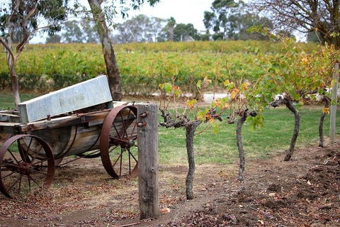 Maggie Beer Farm - Barossa Valley Regional Tour - Tourism Adelaide 1
