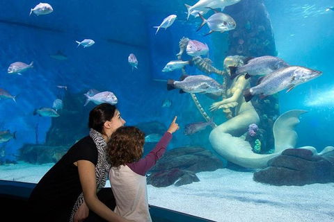 SEA LIFE Melbourne Aquarium Admission Ticket - Tourism Adelaide 4
