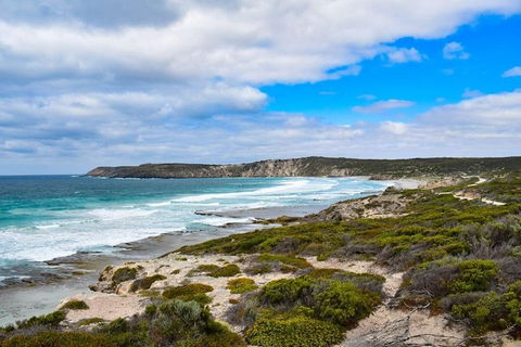 Kangaroo Island Luxury Small Group 'East End Explorer' Full Day Tour - Tourism Adelaide 0