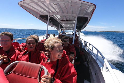 Adventure Rottnest Tour With Ferry & Adventure Cruise From Perth Or Fremantle - Tourism Adelaide 0