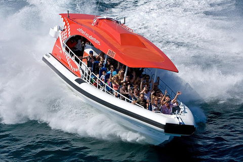 Adventure Rottnest Tour With Ferry & Adventure Cruise From Perth Or Fremantle - Tourism Adelaide 2