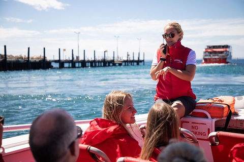 Adventure Rottnest Tour With Ferry & Adventure Cruise From Perth Or Fremantle - Tourism Adelaide 4