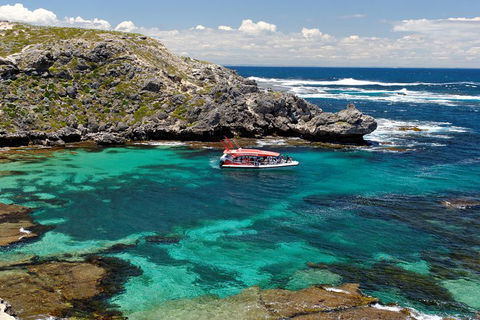 Adventure Rottnest Tour With Ferry & Adventure Cruise From Perth Or Fremantle - Tourism Adelaide 5