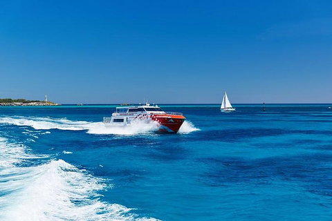 Rottnest Island Round-Trip Ferry From Perth Or Fremantle - Tourism Adelaide 4