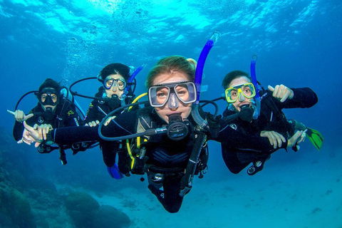 Great Barrier Reef Diving And Snorkeling Cruise From Cairns - Tourism Adelaide 0