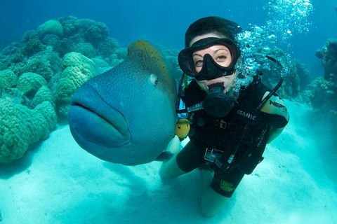 Great Barrier Reef Diving And Snorkeling Cruise From Cairns - Tourism Adelaide 2